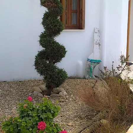 To Pithari Lägenhet Skyros