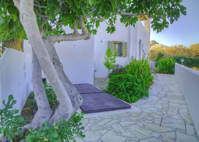 Apartment To Pithari